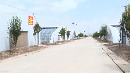 科技賦能，高效發(fā)展 本市現(xiàn)代農業(yè)溫室建設穩(wěn)步推進